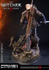 фотография Premium Masterline Geralt