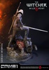 фотография Premium Masterline Geralt