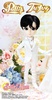 фотография Taeyang Mamoru Chiba Wedding Ver.