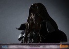 фотография Alucard Exclusive Edition Ver.