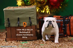 фотография 1/6 Bulldog Statue 4.0 2 Figure Set: White