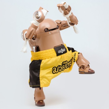 главная фотография 12 MechatroWeGo MUAY THAI
