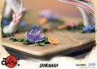 фотография Shiranui Regular Edition