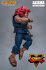 фотография Akuma/Gouki