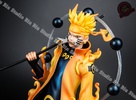 фотография Naruto Sage of Six Paths Ashura & Sasuke Rinnegan Indra