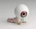 фотография KT Project KT-019 (Takeya Style Jizai Okimono) Medama-Oyaji