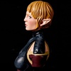 фотография Sera Collectible Bust Statue