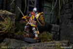 фотография Dark Souls Heroes of Lordran Figurines Series 1: Oscar