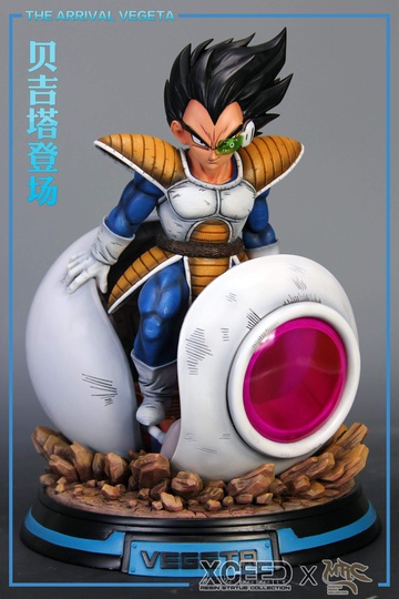 главная фотография Arrival Vegeta