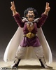 фотография S.H.Figuarts Mr. Satan whith Bee