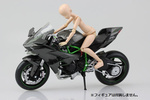 фотография Complete Motorcycle Model Kawasaki Ninja H2R