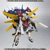 фотография Robot Damashii < SIDE MS > GX-9901-DX Gundam Double X