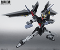 фотография Robot Damashii < SIDE MS > GAT-X105E+AQM/E-X09S Strike Noir Gundam