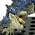 Capcom Figure Builder Monster Hunter Standard Model Plus Vol.11: Rathalos