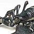 Revo Geo Vol.1 Emperor Scorpion