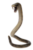 фотография Harry Potter 5'' Action Figure Lord Voldemort