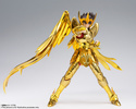 фотография Saint Cloth Myth EX Sagittarius Seiya