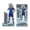 фотография Acrylic Figure Inazuma Eleven: Haizaki Ryouhei