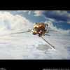 фотография Souzou Galleria Flaptter