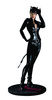 фотография DC Cover Girls Catwoman