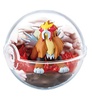 фотография Pocket Monsters Terrarium Collection 6: Entei