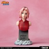 фотография Sakura Haruno Scale Bust