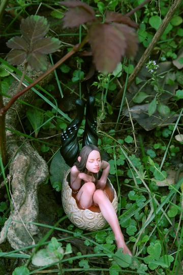 главная фотография Newborn Fairy