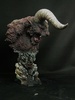 фотография Zodd Bust