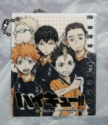 главная фотография Haikyuu Ruler: Hinata Shouyou, Tsukishima Kei, Kageyama Tobio, Nishinoya Yuu, Azumane Asahi