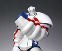 фотография Robot Damashii < Side Hero > Heroman with Joseph Carter Jones