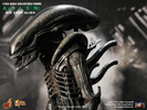 фотография Movie Masterpiece Big Chap Alien