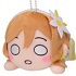 Nesoberi Nuigurumi Ichinensei, Next Sparkling!!: Kunikida Hanamaru