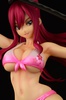 фотография Erza Scarlet Swimsuit Gravure_Style/ver.Sakura