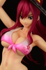 фотография Erza Scarlet Swimsuit Gravure_Style/ver.Sakura