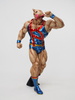 фотография CCP Muscular Collection (NO.EX) Kinnikuman Face Flash Tokubetsu Kon Metallic ver.