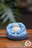 фотография Lazy Sofa Blastoise