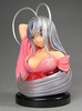 фотография Tenjou Tenge Figure Series Part 3: Natsume Maya