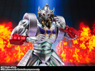 фотография S.H.Figuarts Akuma Shogun Original Color Edition