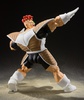 фотография S.H.Figuarts Recoome