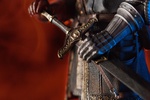 фотография Elite Knight at the Bonfire Statue