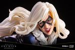 фотография ARTFX Premier Black Cat