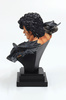 фотография Ultimate Bust Series Kenshirou