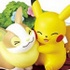 Pocket Monsters Terrarium Collection EX ~Galar Chihou Hen~: Wanpachi & Pikachu