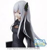 фотография SPM Figure Echidna