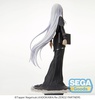 фотография SPM Figure Echidna