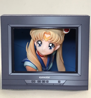 главная фотография Sailor Moon