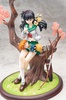 фотография Higurashi Kagome