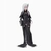 фотография SPM Figure Echidna
