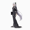 фотография SPM Figure Echidna