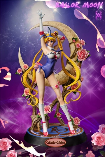 главная фотография Sailor Moon Resonance 001 Moon Hare